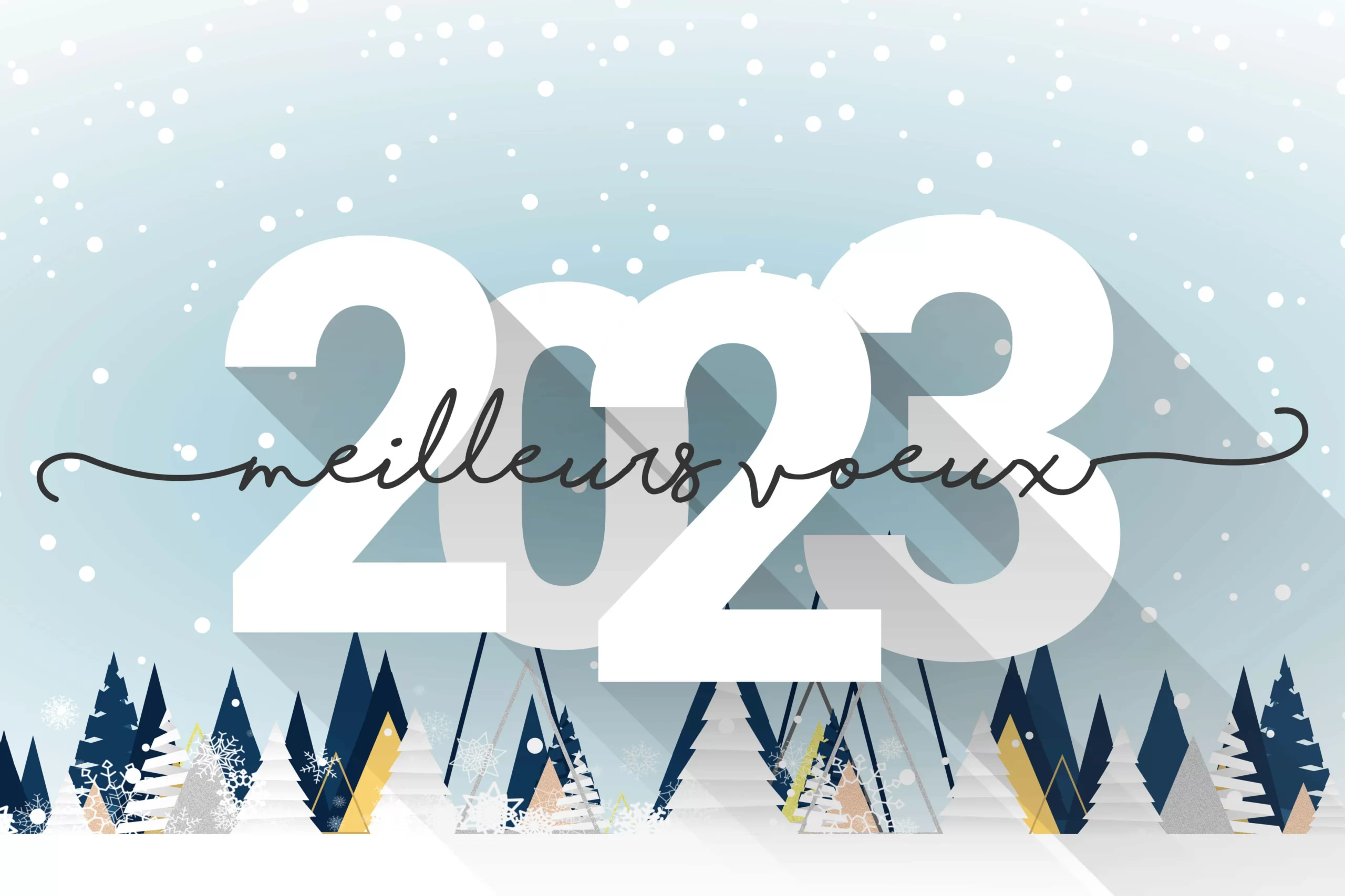 Bonne année 2023