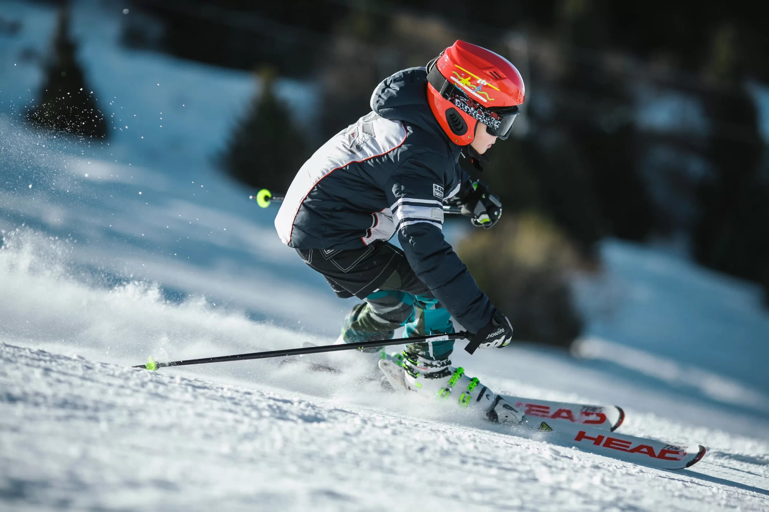 Ligament croisé antérieur